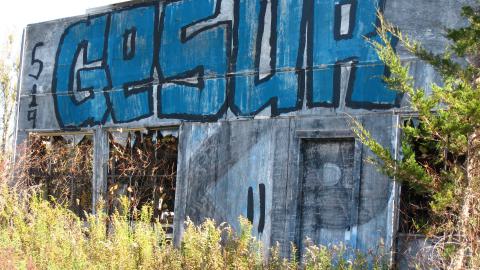 Oct. 19, 2024 - IMG_2069.JPG