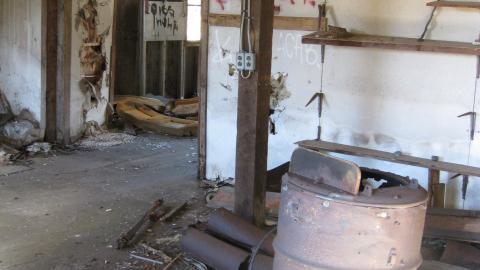 Oct. 19, 2024 - IMG_2072.JPG