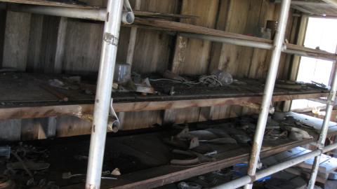 Oct. 19, 2024 - IMG_2076.JPG