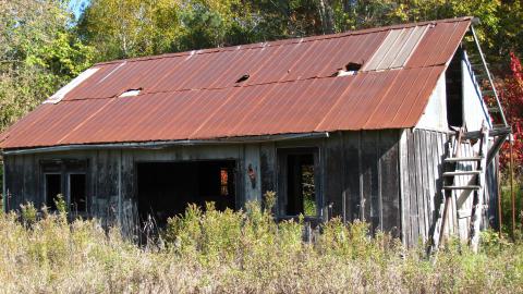 Oct. 19, 2024 - IMG_2078.JPG