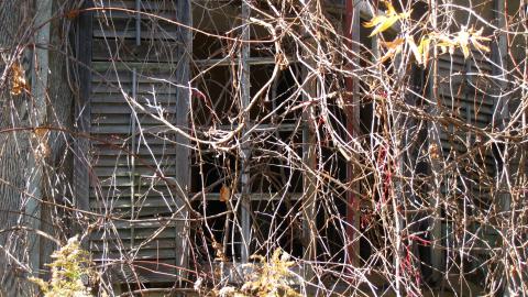 Oct. 19, 2024 - IMG_2079.JPG