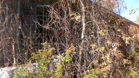 Oct. 19, 2024 - IMG_2080.JPG