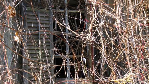 Oct. 19, 2024 - IMG_2081.JPG