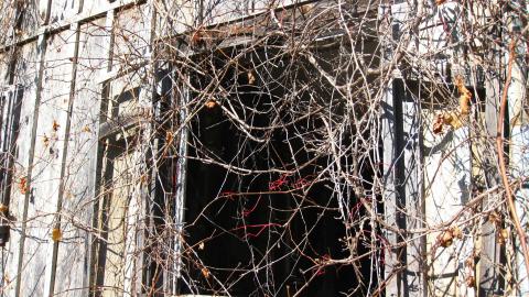 Oct. 19, 2024 - IMG_2082.JPG