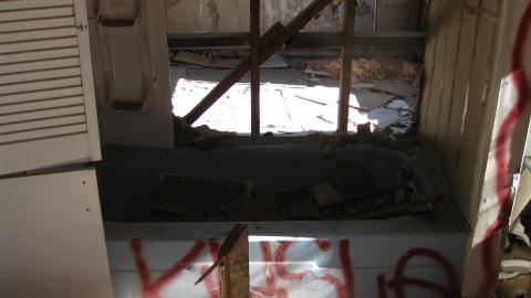 Oct. 19, 2024 - IMG_2083.JPG