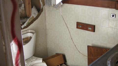 Oct. 19, 2024 - IMG_2088.JPG