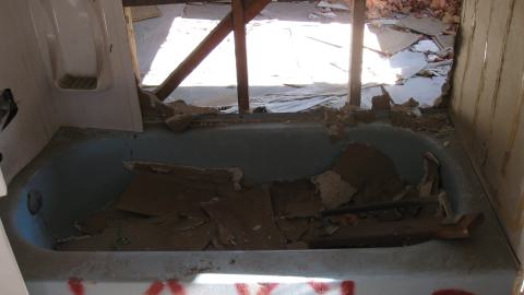 Oct. 19, 2024 - IMG_2089.JPG