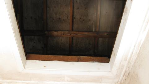 Oct. 19, 2024 - IMG_2090.JPG