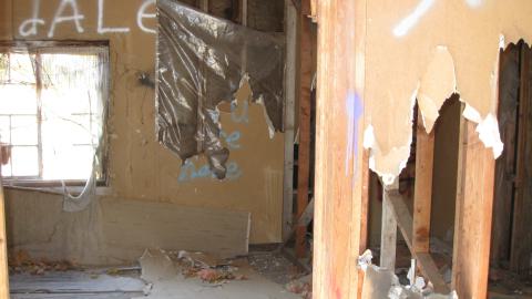 Oct. 19, 2024 - IMG_2091.JPG