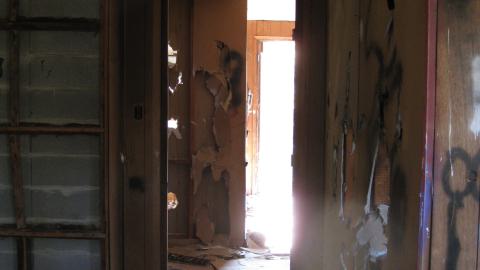 Oct. 19, 2024 - IMG_2093.JPG