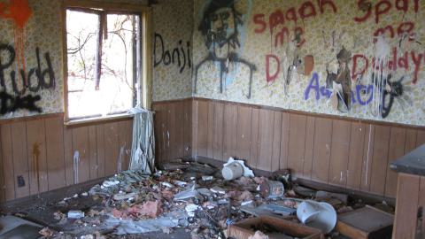 Oct. 19, 2024 - IMG_2094.JPG