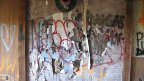 Oct. 19, 2024 - IMG_2095.JPG