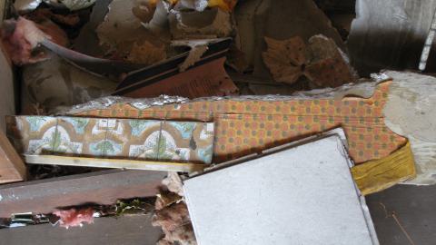 Oct. 19, 2024 - IMG_2096.JPG