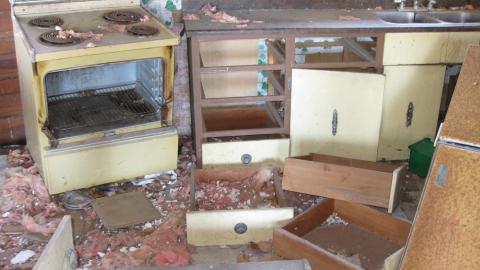 Oct. 19, 2024 - IMG_2101.JPG