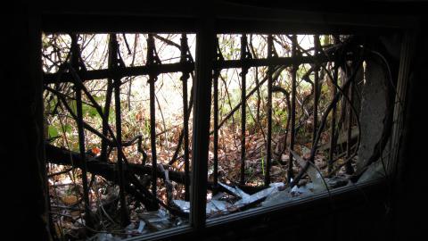 Oct. 19, 2024 - IMG_2105.JPG