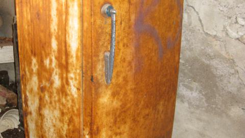 Oct. 19, 2024 - IMG_2108.JPG