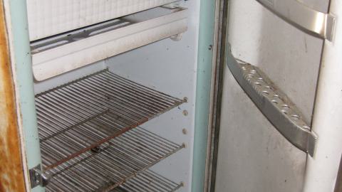 Oct. 19, 2024 - IMG_2109.JPG