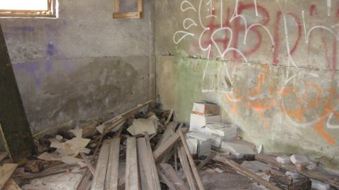 Oct. 19, 2024 - IMG_2110.JPG