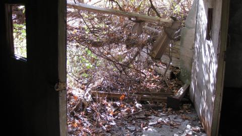 Oct. 19, 2024 - IMG_2111.JPG