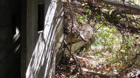 Oct. 19, 2024 - IMG_2112.JPG