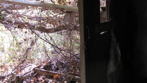 Oct. 19, 2024 - IMG_2113.JPG