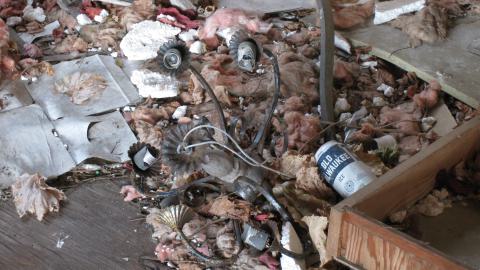 Oct. 19, 2024 - IMG_2115.JPG