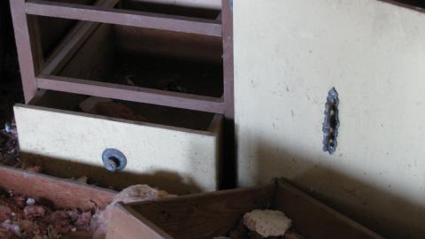 Oct. 19, 2024 - IMG_2122.JPG