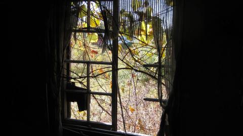 Oct. 19, 2024 - IMG_2126.JPG