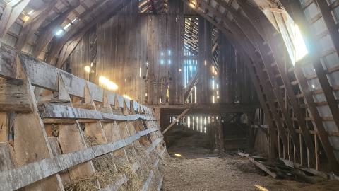 Cattle Barn & Loft - 20241219_144806.jpg