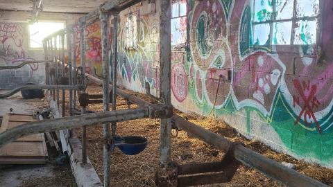 Feeding trout's for cattle.