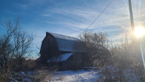 Cattle Barn & Loft - 20241219_143843.jpg