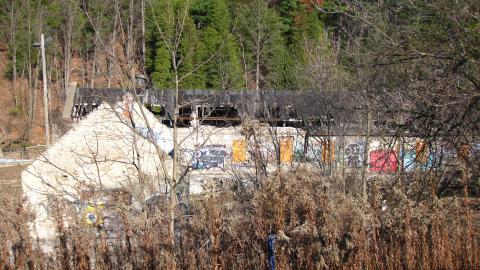 Nov. 9, 2024 - IMG_2532.JPG