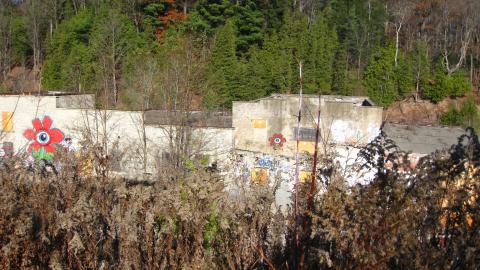 Nov. 9, 2024 - IMG_2533.JPG