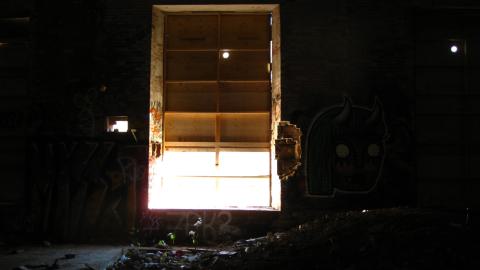 Nov. 9, 2024 - IMG_2534.JPG