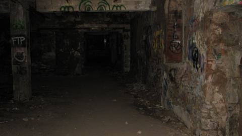 Nov. 9, 2024 - IMG_2538.JPG