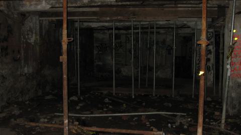 Nov. 9, 2024 - IMG_2541.JPG