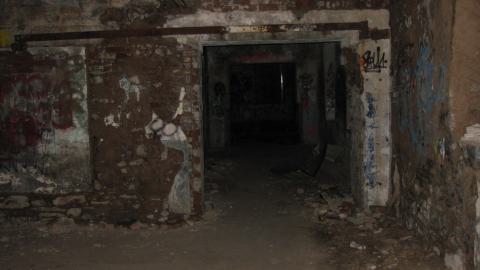 Nov. 9, 2024 - IMG_2542.JPG