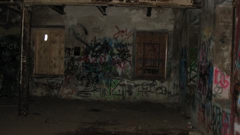 Nov. 9, 2024 - IMG_2545.JPG