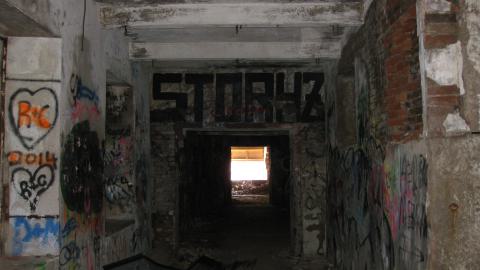 Nov. 9, 2024 - IMG_2547.JPG