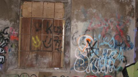 Nov. 9, 2024 - IMG_2549.JPG