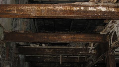 Nov. 9, 2024 - IMG_2552.JPG