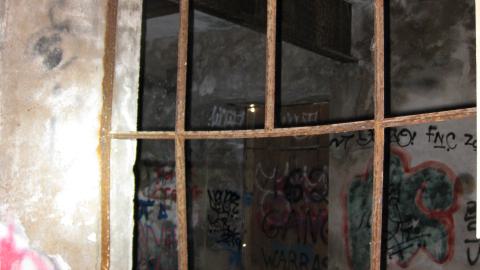 Nov. 9, 2024 - IMG_2553.JPG