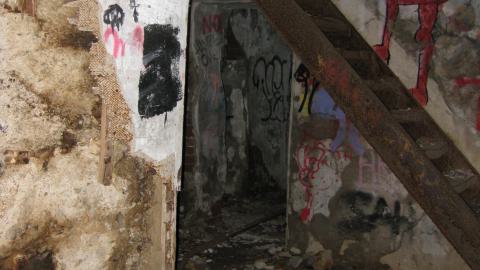 Nov. 9, 2024 - IMG_2556.JPG