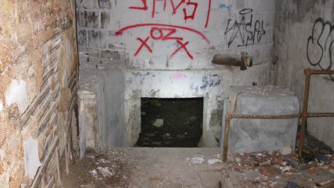 Nov. 9, 2024 - IMG_2558.JPG