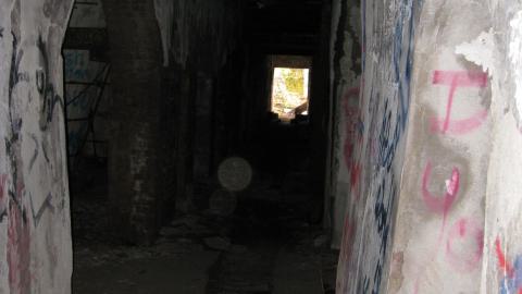 Nov. 9, 2024 - IMG_2561.JPG