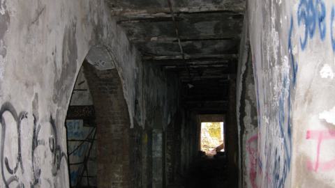 Nov. 9, 2024 - IMG_2562.JPG