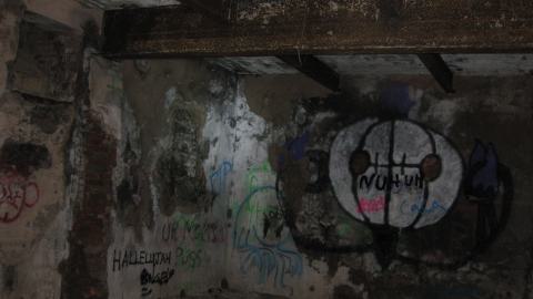 Nov. 9, 2024 - IMG_2563.JPG