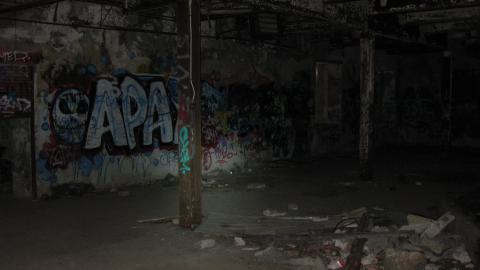 Nov. 9, 2024 - IMG_2564.JPG