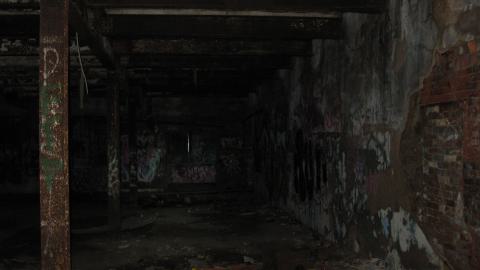 Nov. 9, 2024 - IMG_2566.JPG