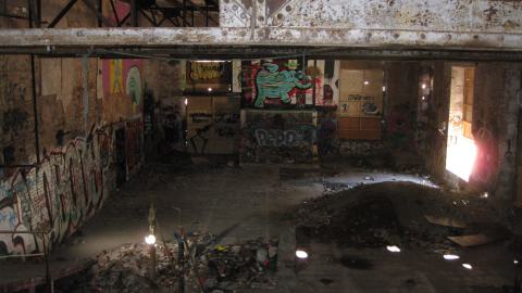 Nov. 9, 2024 - IMG_2570.JPG